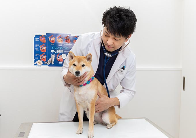 セカンドオピニオン