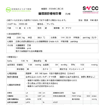 循環器診療報告書