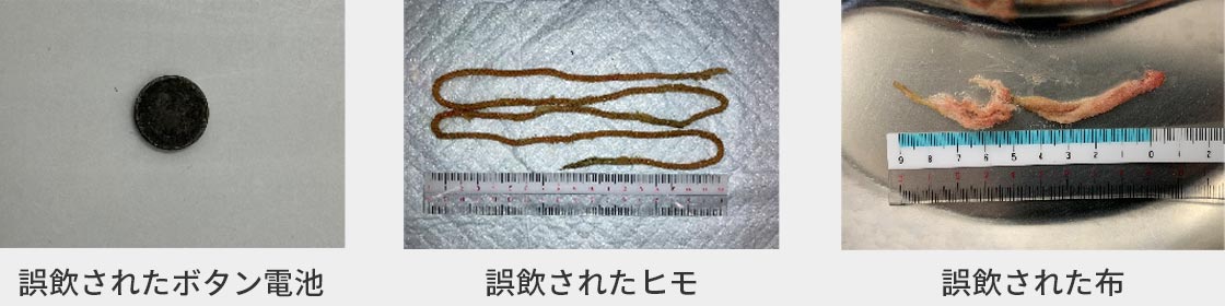 異物誤飲の症例01