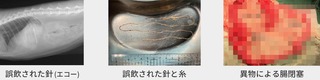 異物誤飲の症例02