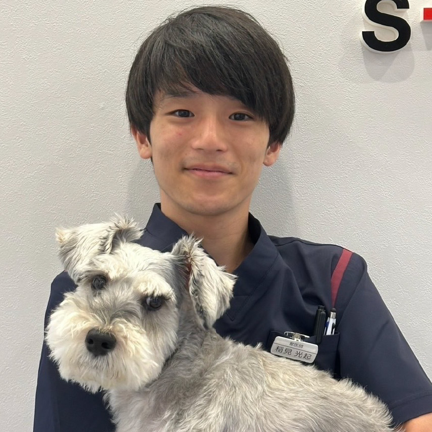 稲見 光起