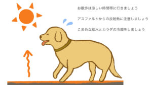 熱中症にご注意ください 〜予防法と応急処置〜｜犬｜猫｜短頭種 