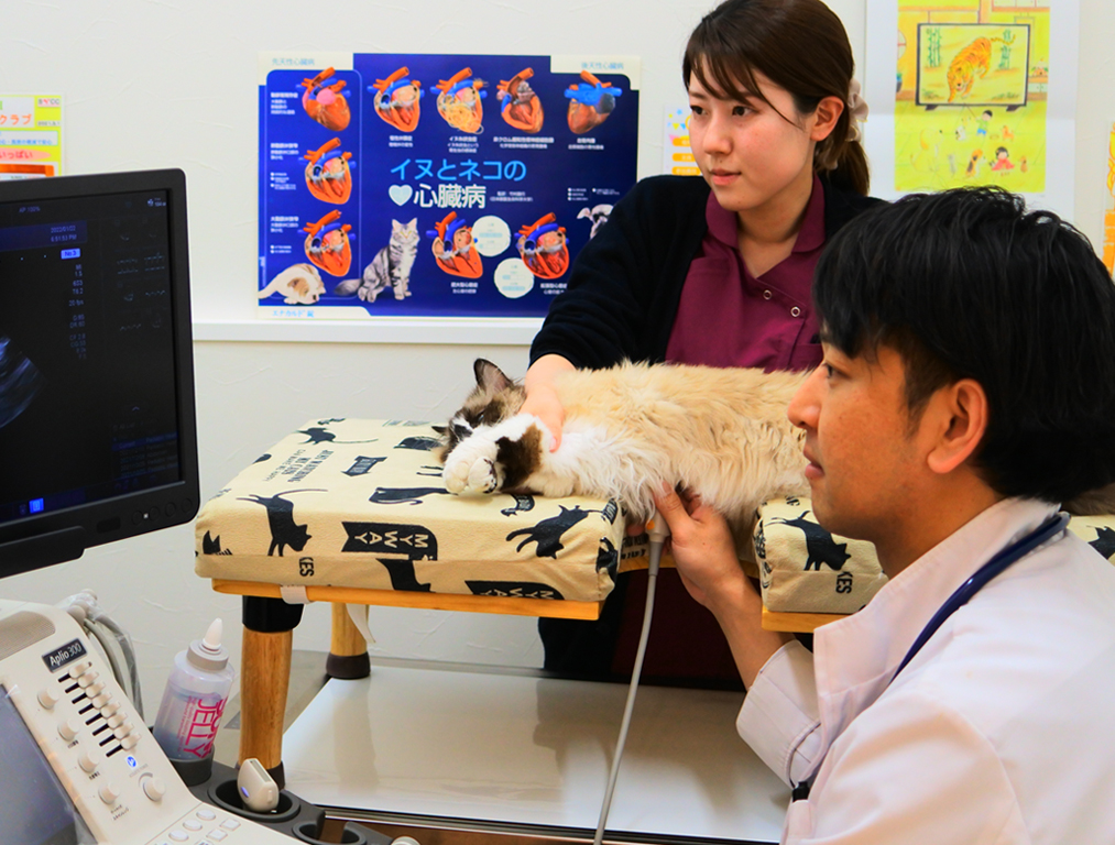 最新機器の導⼊