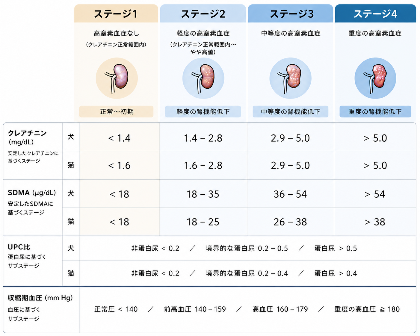 慢性腎臓病ステージ分類