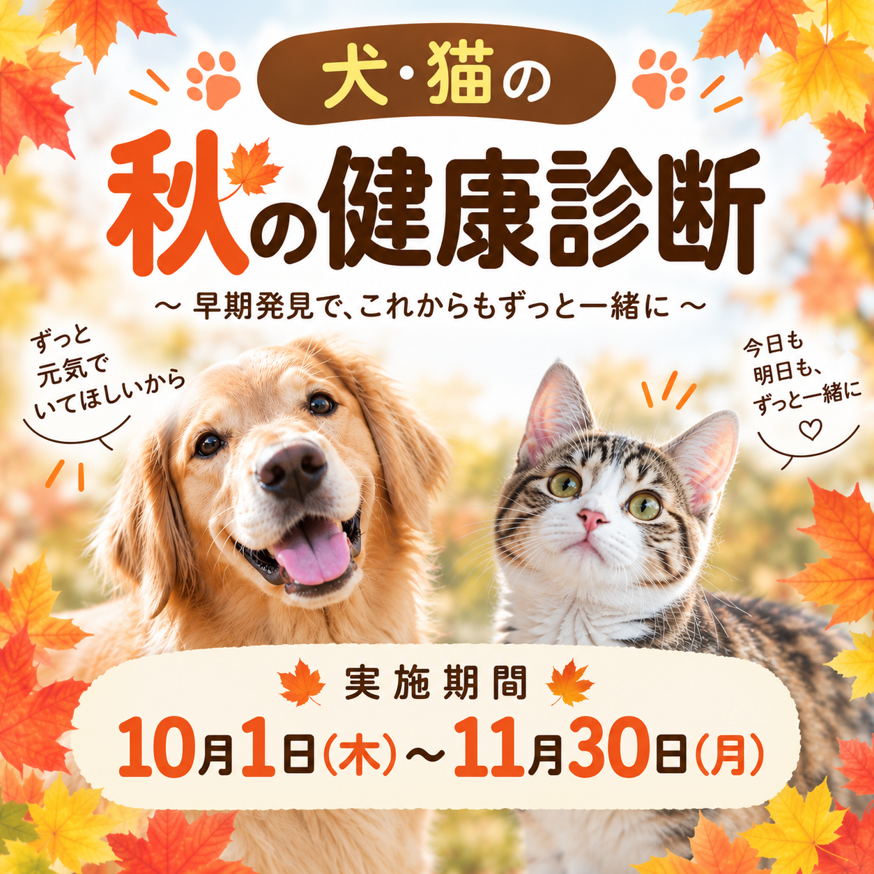犬猫の秋の<br>健康診断キャンペーン